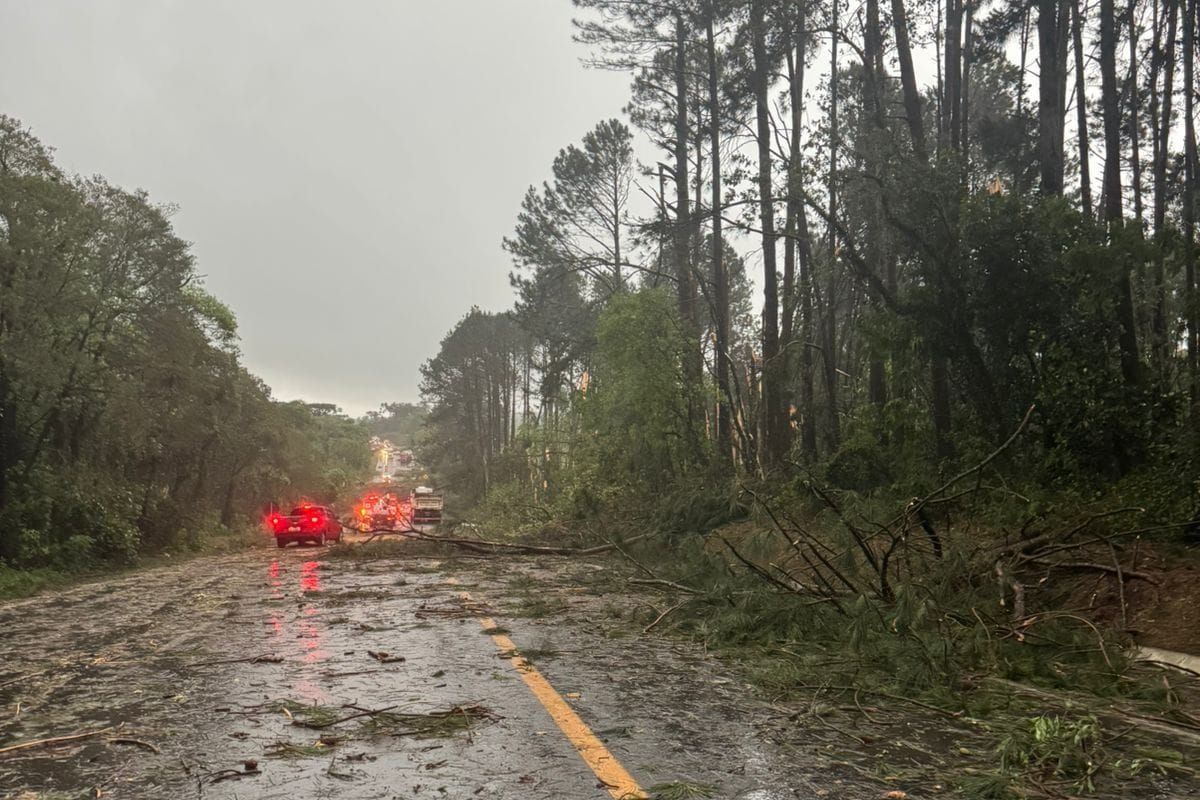 SC reconhece emergência em nove cidades após temporais