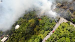 Incêndio florestal destrói parte da mata atlântica em Balneário Camboriú
