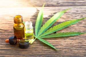 Acesso ao cannabis medicial é ampliado no Brasil; veja detalhes