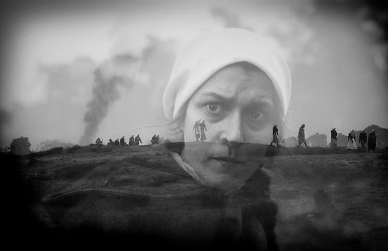 Festival Internacional no Norte catarinense recebe cinema holandês