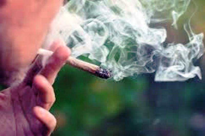 Polícia aplica mais de 4,7 mil multas por uso de drogas em locais públicos em SC