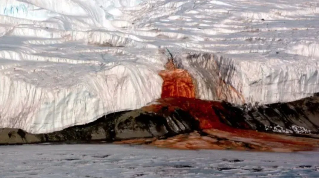Mistério da “cachoeira de sangue” na Antártica é explicado