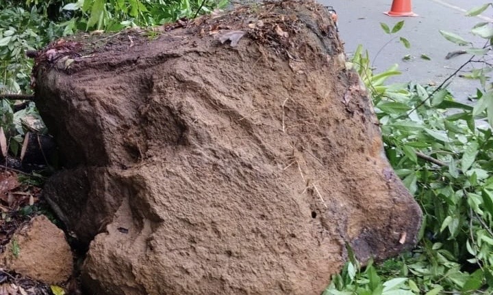 Trânsito fica em meia pista após deslizamento de rocha em cidade catarinense