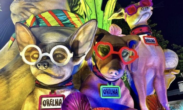 Cão Orelha é homenageado em desfile por escola de samba carioca