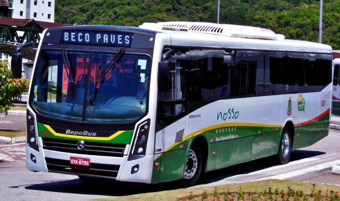 Brusque terá ônibus gratuito aos domingos