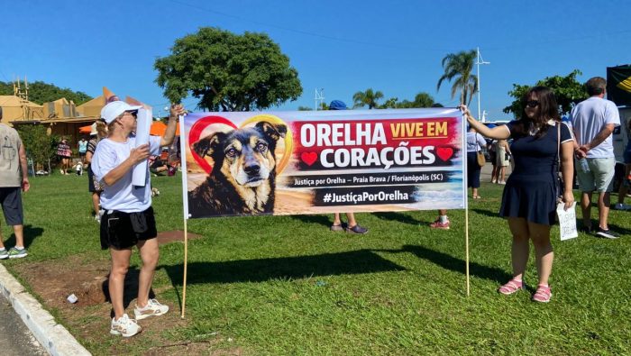 Protestos pelo caso Orelha tomam capitais e ampliam pressão por justiça