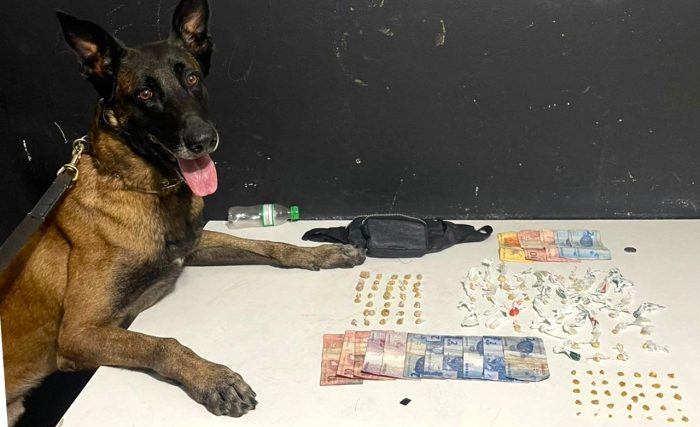 Cão Bruce fareja e encontra drogas durante operação da PM
