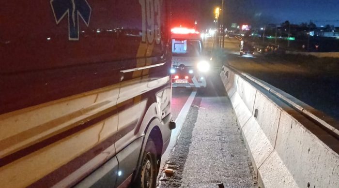 Resgate na madrugada salva filhote de gato preso em guard-rail da BR-101