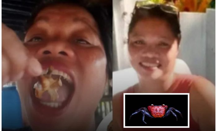 Influenciadora morre após comer o ‘caranguejo-do-diabo”
