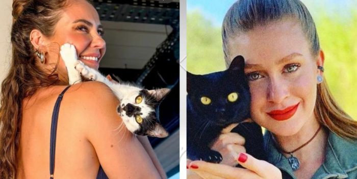 Dia Mundial dos Gatos: veja os famosos que são completamente apaixonados por felinos