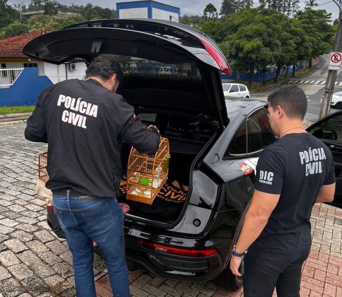 Homem é preso por golpe milionário e crueldade contra animais em SC