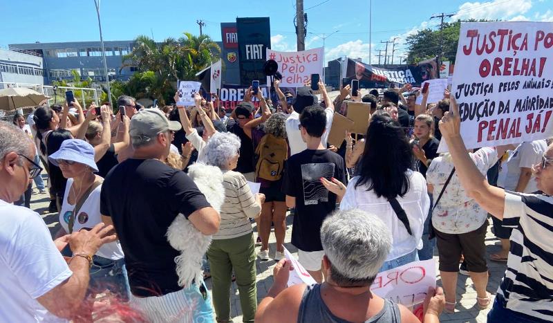 Nova manifestação “Justiça por Orelha” reúne público em frente à sede da SSP