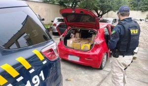 Motorista de aplicativo é condenado por tráfico de drogas em SC