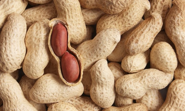 Saiba qual grão tem o dobro de proteína do ovo e protege o coração