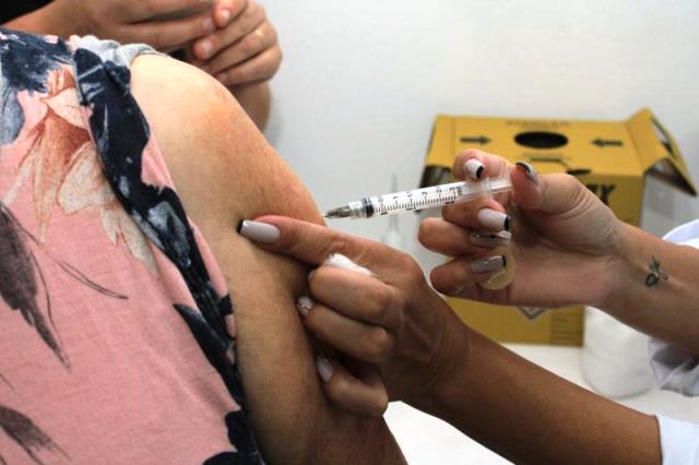 Santa Catarina recebe as primeiras doses da vacina contra a influenza