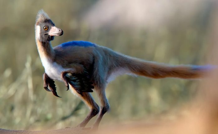 A descoberta na Patagônia que pode recontar o início dos dinossauros