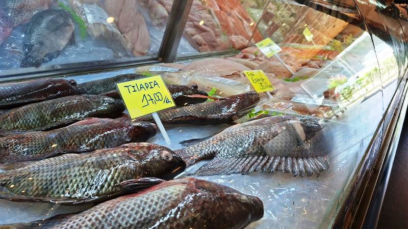 Peixes frescos ganham protagonismo no almoço de Páscoa