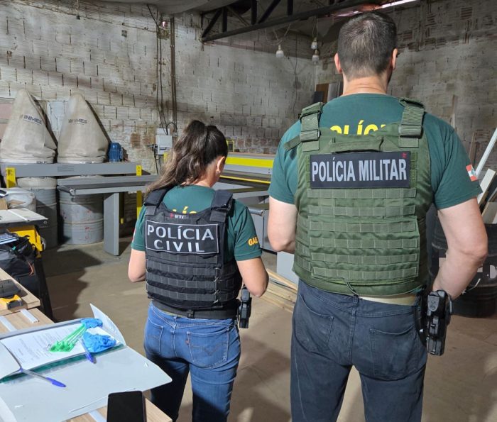 Operação Bastião investiga imagens de abuso infantil na internet em SC