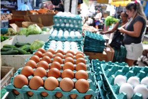 Preço do ovo sobe 9,2% no atacado em Santa Catarina em fevereiro