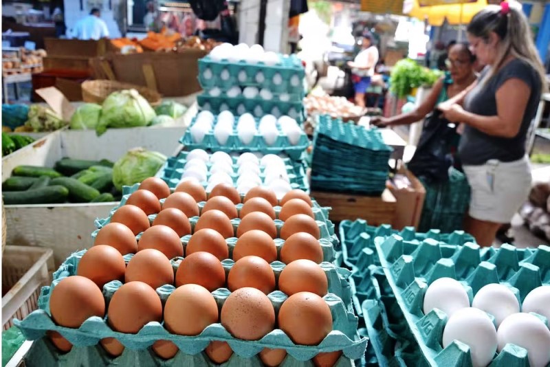 Preço do ovo sobe 9,2% no atacado em Santa Catarina em fevereiro