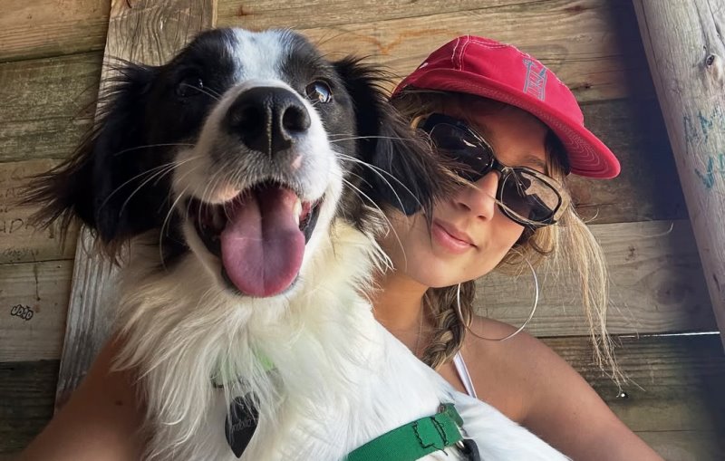 BBB26: cão de Samira ganha prótese em SC e faz sucesso nas redes