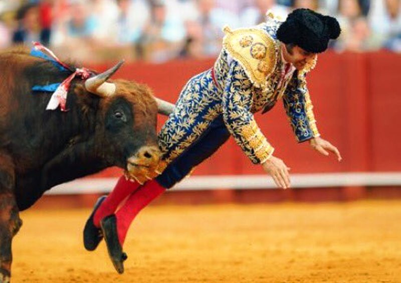 Vídeo: toureiro sofre chifrada grave durante tourada na Espanha