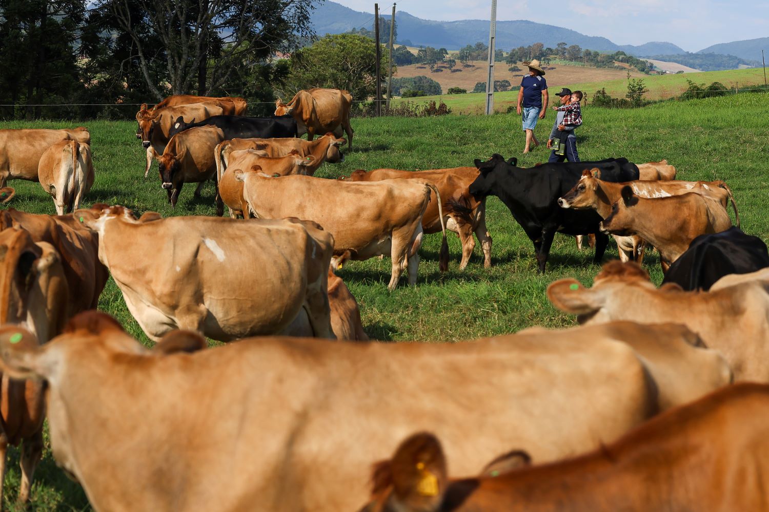 Crédito do BRDE impulsiona pequenos negócios em SC