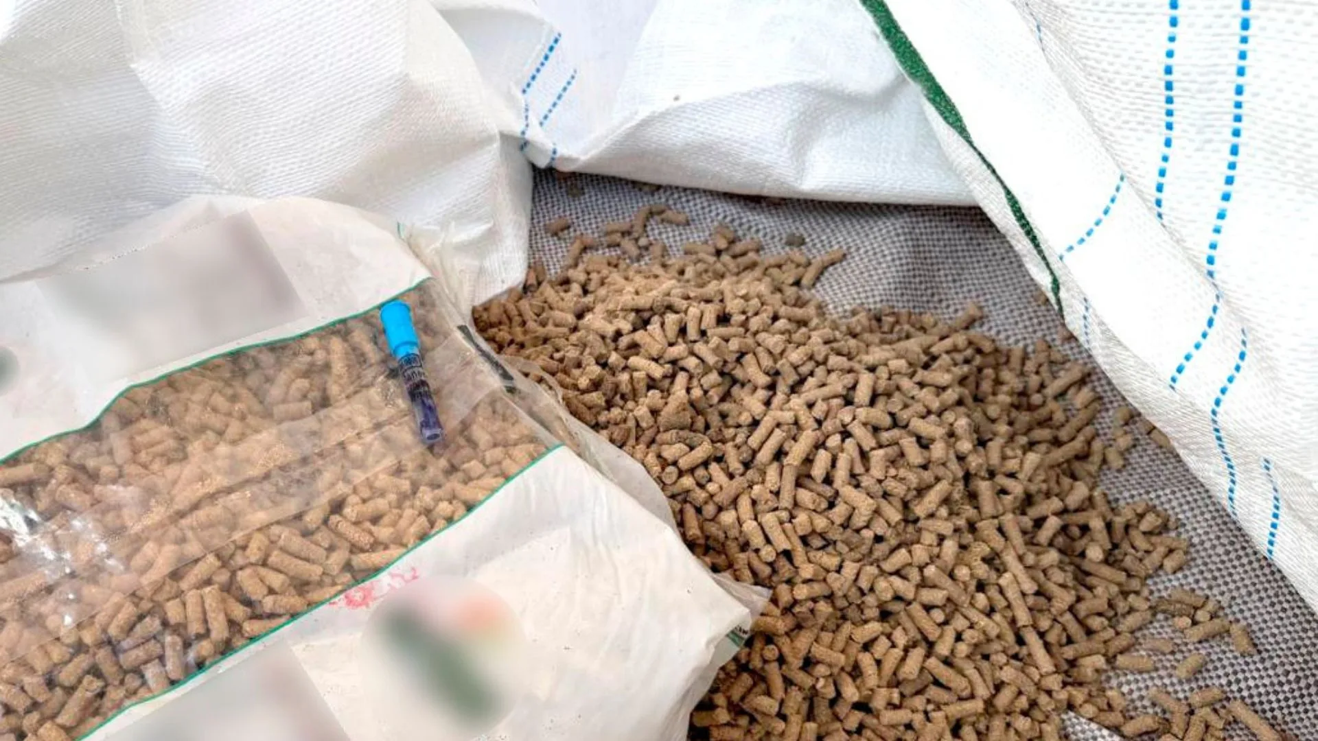 Cocaína com destino à Alemanha é apreendida em carga de madeira em Porto no Norte de SC