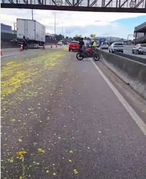 VÍDEO: Queda de carga deixa BR-101 parcialmente bloqueada