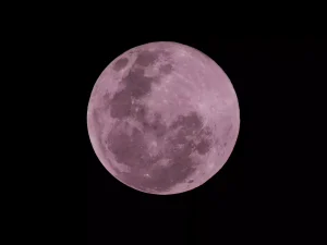 Lua Cheia Rosa aparece no céu nesta quarta-feira