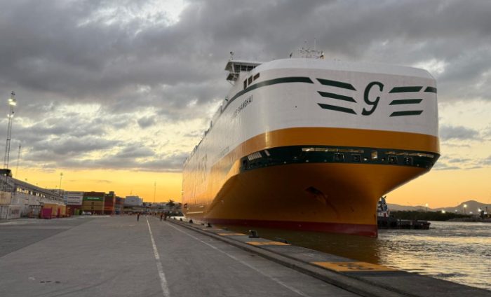 Navio cegonheira: porto de Itajaí recebe mais de 4,5 mil veículos da BYD