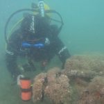 Mergulho pela vida marinha remove quase 300 quilos de lixo em Laranjeiras