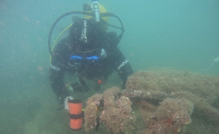 Mergulho pela vida marinha remove quase 300 quilos de lixo em Laranjeiras