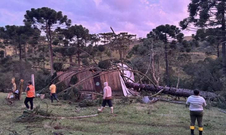 Tempestade severa atinge cidades de SC e deixa rastro de estragos