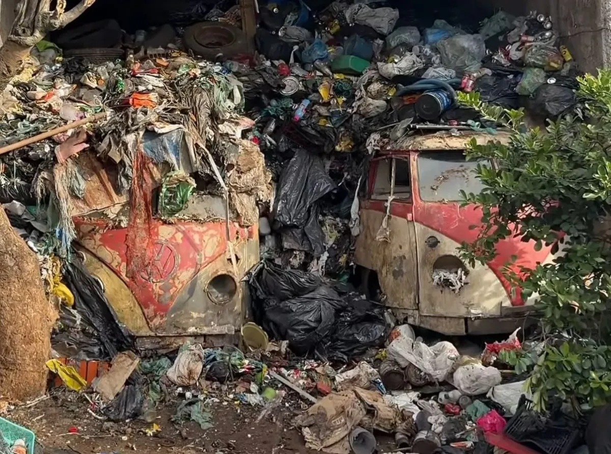 Kombis raras surgem em lixão doméstico e impressionam moradores em SP