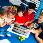 Florianópolis estuda comprar mais vagas da educação infantil em escolas particulares