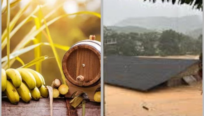Enchente de 2025 faz cancelar Festa da Cachaça e da Banana