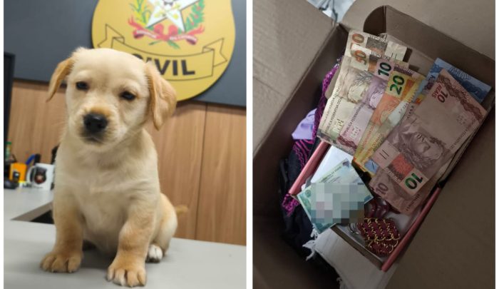 Ocorrência de tráfico de drogas termina com resgate de cão e gato