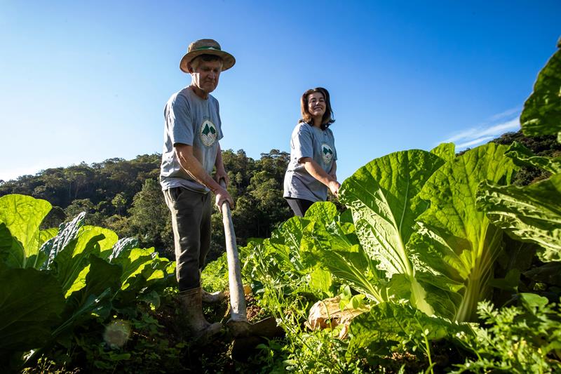 Agro de Santa Catarina cresce 15,1% e atinge R$ 74,9 bilhões em 2025