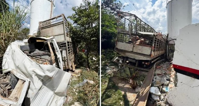 Vídeo: mulher morre soterrada por porcos em acidente com caminhão