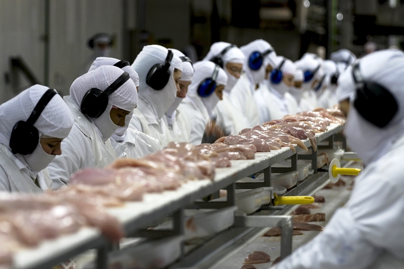 Santa Catarina exportou mais de R$ 1 bilhão em carne de frango entre janeiro e maio