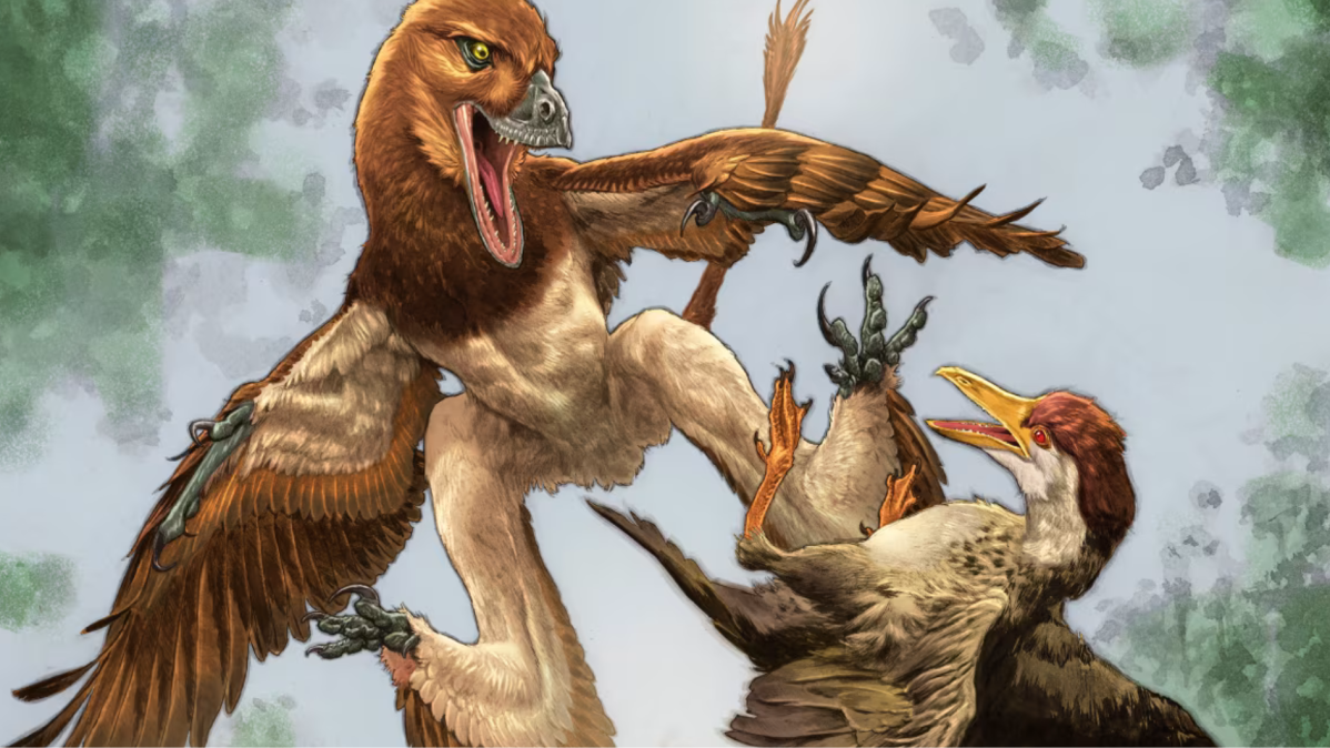 Dinossauro de quatro asas surpreende cientistas na China