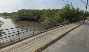 MPSC denuncia mulher que amarrou e jogou cadela de ponte