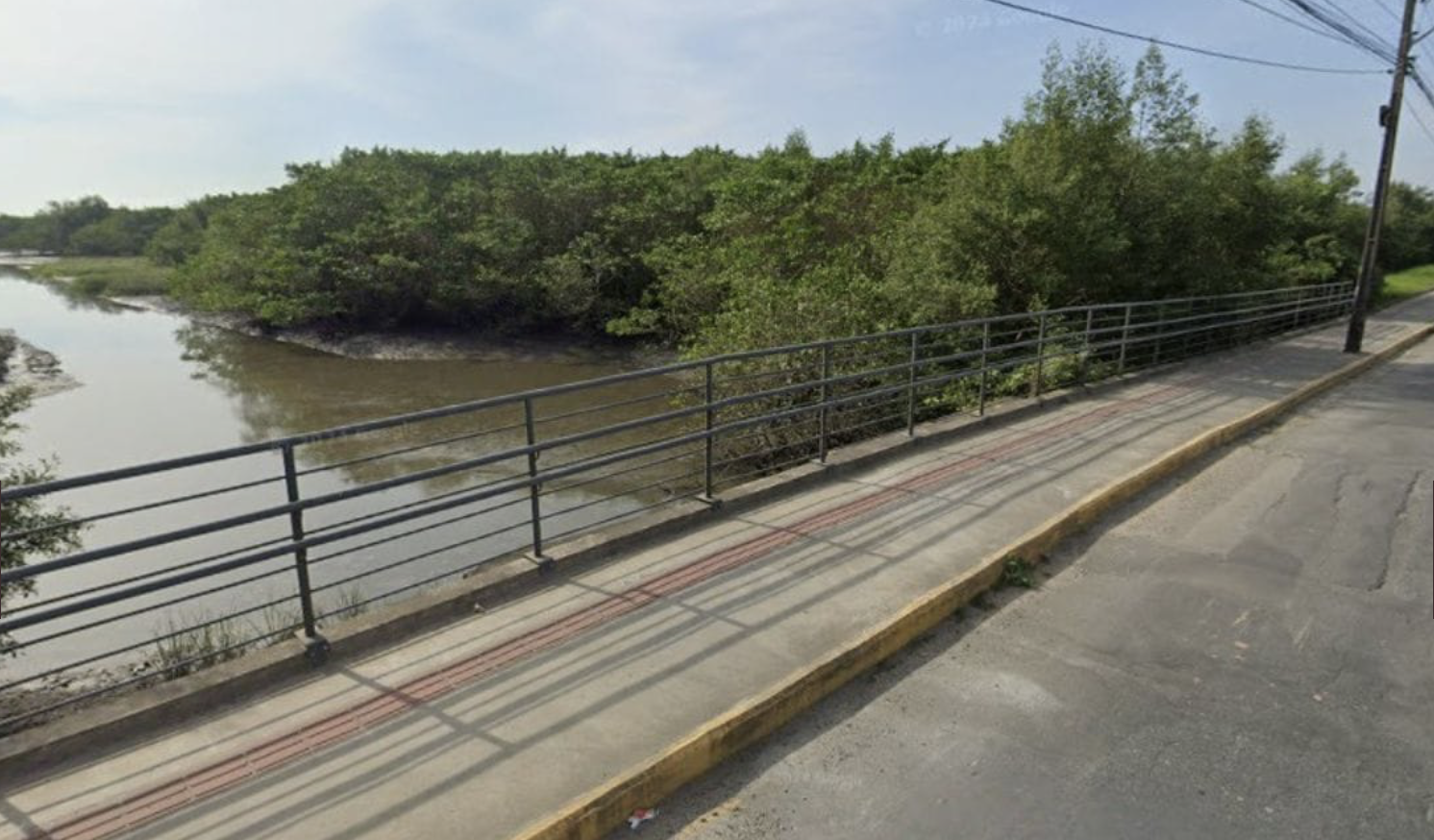 MPSC denuncia mulher que amarrou e jogou cadela de ponte