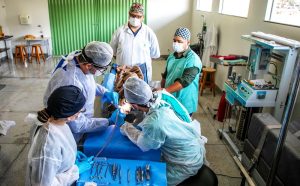 Santa Catarina registra maior número de transplantes de rim dos últimos anos