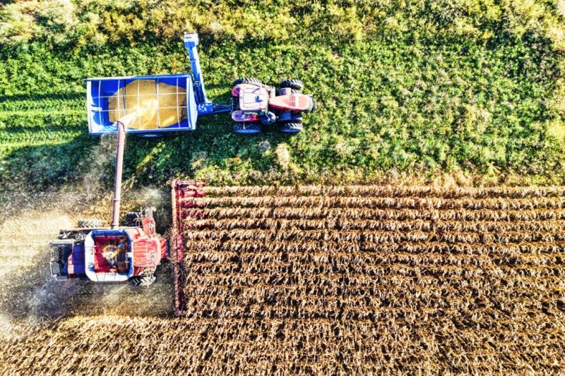 Santa Catarina acelera inovação no agronegócio