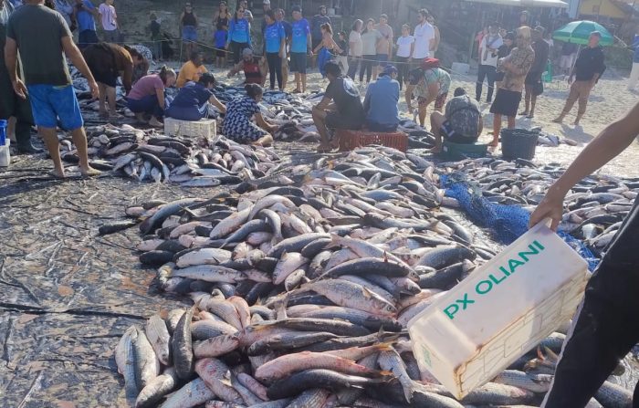 Fim da pesca da tainha: decisão federal provoca revolta e críticas em SC