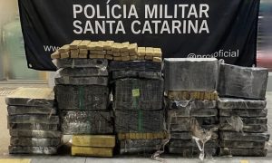 Apreensão de maconha causa prejuízo milionário ao tráfico 