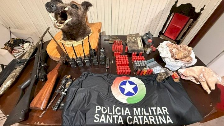 Operação encontra 105 animais silvestres abatidos e leva quatro à prisão em SC