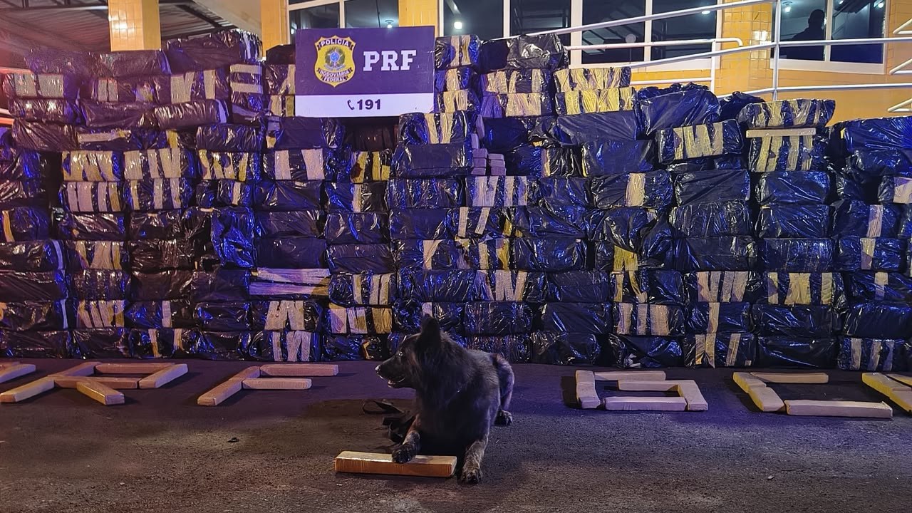 Caminhão que saiu de SC é apreendido com 7,5 toneladas de maconha em Goiás